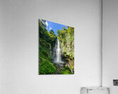 Munduk Waterfalls Bali 5 Acrylic Print