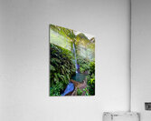 Munduk Waterfalls Bali 1 Acrylic Print