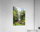 Munduk Waterfalls Bali 2 Acrylic Print
