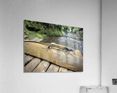 The Lizard Munduk Bali Acrylic Print