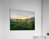 A Horse at Sunrise Jeju South Korea Acrylic Print