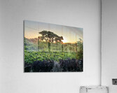 The Sunset Behind Jeju South Korea Acrylic Print