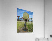 The light bulb Udo South Korea Acrylic Print