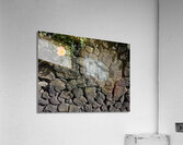 The Black Wall and the Orange Flower Jeju Korea Acrylic Print