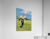 Seopjikoji Jeju South Korea 2 Acrylic Print