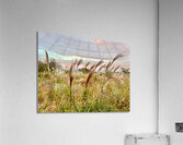 Stone Park Jeju South Korea 10 Acrylic Print