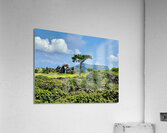Seongsan Ilchulbong Jeju South Korea 4 Acrylic Print