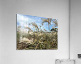 Stone Park Jeju South Korea 1 Acrylic Print