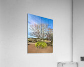 Stone Park Jeju South Korea 5 Acrylic Print