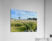 Stone Park Jeju South Korea 2 Acrylic Print