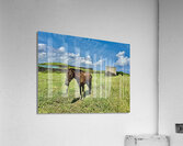 Seopjikoji Jeju South Korea 3 Acrylic Print