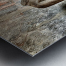 Headless Statue Metal print