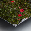 Red Flowers Gate Impression metal