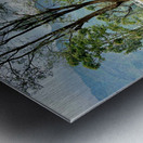 Drive Through Tea Plantations Metal print