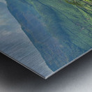 Tea Plantations 4 Metal print