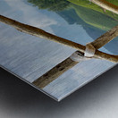 Peak a Tree Metal print