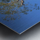 Temple Tree 2 Metal print