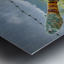 Coconut Knife 2 Metal print