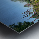 Kitty Overlooking the Garden Metal print