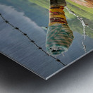 Coconut Knife Metal print