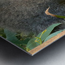 Sleep Well Koala Metal print