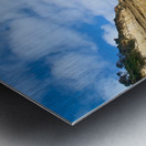 Bird on the Beach Metal print