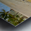 White Crab on the Beach Metal print