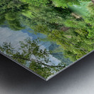 Across the Bamboo Bridge Metal print