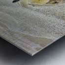 Crab on the Beach 2 Impression metal