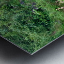 Wild Horse in the Field Metal print