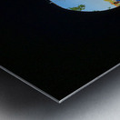 Peaking Ouside Metal print