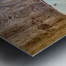 White Butterfly Metal print