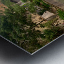 Water Buffalo Bathing Metal print