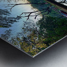 Village Reflection Metal print