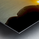 Enlightened Monkey at Sunset Metal print