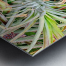 Pineapple Growing Impression metal