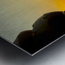 Meditative Monkey at Sunset Metal print