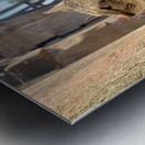 Cat Dreaming of the Future Metal print