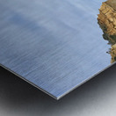 Bird on the Beach 2 Metal print