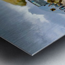 Corn  Coconuts Metal print