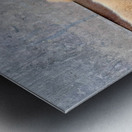 Flip Flop Puppy Metal print