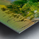 Colorful River Metal print