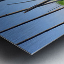 House behind the Bamboos Impression metal