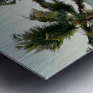 Palm Trees by the Beach Metal print