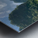 Lonely Horse Metal print