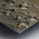 Seashells in the Sand Impression metal