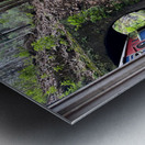 Train Through the Mini Tunnel Metal print