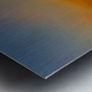 Thinking Monkey at Sunset Metal print