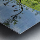 Trees in the Tea Plantations Metal print