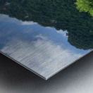 Wild horses Metal print